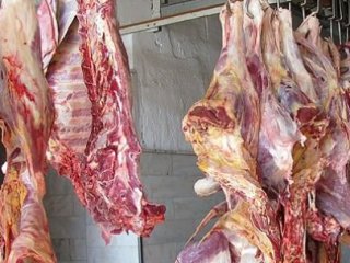 Mersin'de Tonlarca Kaçak Et Ele Geçirildi!