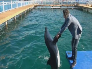 İşte Horon Tepen Yunus!