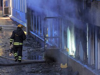 Köpekler İyice Kudurdu