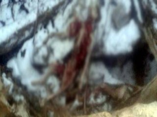 Kayseri’de Vahşet!