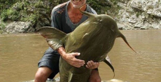 Bu Korkunç Balıklar Nehirlerde Yaşıyor!