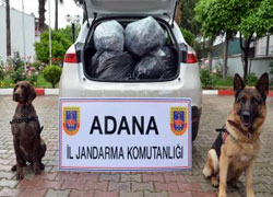 Adana'da 71 kilo kubar esrar ele geçirildi