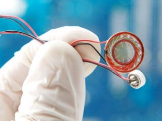 Böcek Davasında Flaş Karar