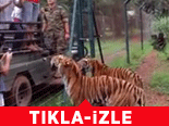 İzleyenleri Şok Etti!