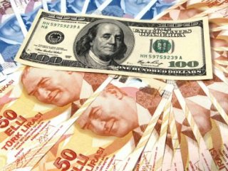Merkez'den Dolara Frenleme