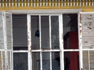 Sultanahmet’teki Polis Müdürlüğü Onarılıyor