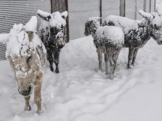 Aynı Yer, Aynı Görüntü!