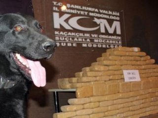 TIR'da 500 Milyon Liralık Zula!