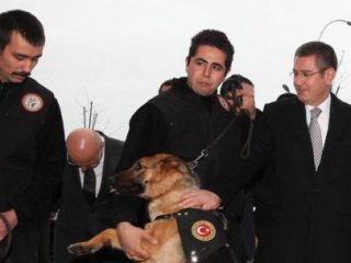 "Irkçı Ve Faşizan Bir Yaklaşım"