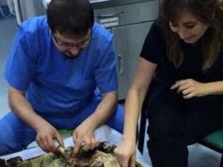 Yedikleri Kebap Pahalıya Mal Oldu