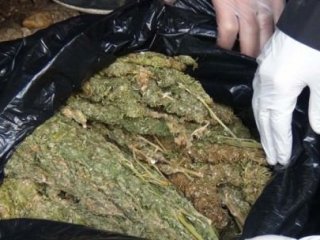 Kayseri'de 151 Kilogram Esrar Ele Geçirildi