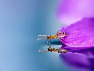 Hiç Bu Kadar Yakından Görmediniz!