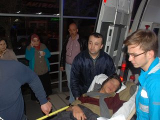 Bonzai Krizine Giren Genç Yaşam Savaşı Veriyor