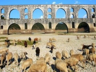 Bu Yaz Bu Mazarayı Görmeyeceğiz