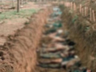 Irak'ta Toplu Mezar Bulundu!