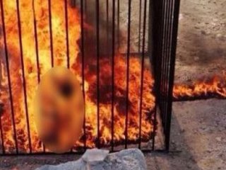 IŞİD'den Kan Donduran Açıklama