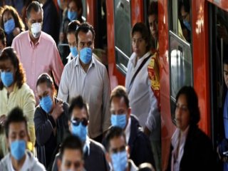 Domuz Gribi Alarmı!