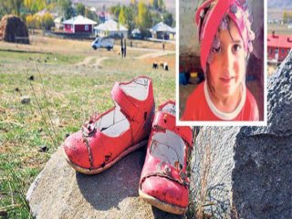 Kaybolan Küçük Nehir'den Haber Var