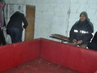 Manisa'da Horozcu Baskını: 68 Gözaltı!