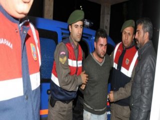 O Caniyle İlgili Şok Eden Gerçek!