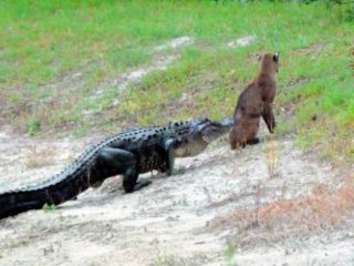 Arkasından Yaklaşan Ölümü Göremedi