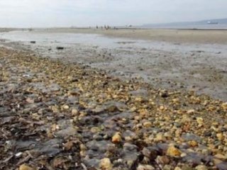 Cemre Havaya Düştü, Deniz Suyu Çekildi