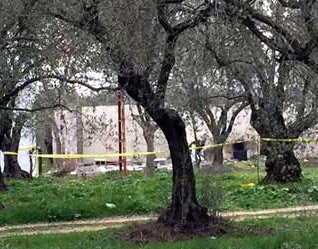 Bir Özgecan Vakası Daha