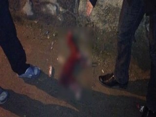 Viranşehir'de Derisi Yüzülmüş Köpek Bulundu