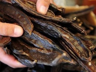 Radyasyona Karşı Koruyor!