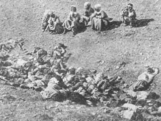 ABD'li Profesörden 'Soykırım' Gerçeği