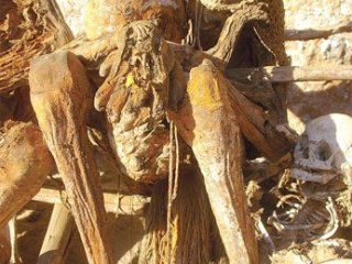 Kan Donduran Gelenek!