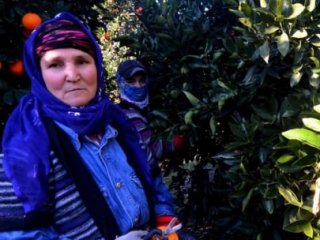 Şubat Ayında En Çok Onun Fiyatı Arttı