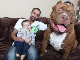 İşte Dünyanın En Büyüğü