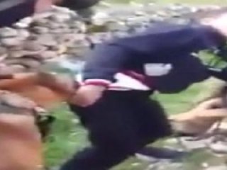 Hangisi Hayvan? Saldıran Mı Saldırtan Mı?