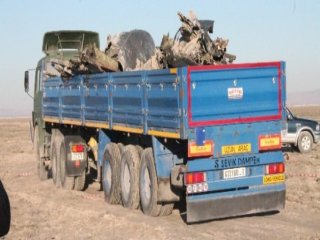 Gökyüzünden Kamyon Kasasına!