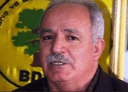 BDP Bingöl İl Başkanı Yurtsever tutuklandı