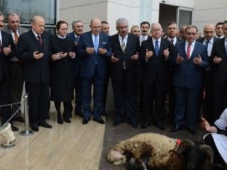 Devlet Bahçeli Aday Oldu Koç Kestirdi