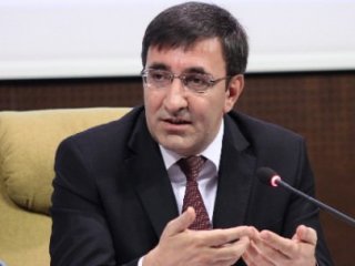 Bakan'dan Önemli Domuz Gribi Açıklaması