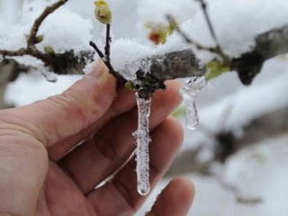 Meteoroloji'den Çiftçiye Kritik Uyarı!