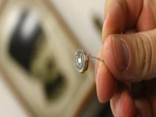 Romanya Böcekçi Polisler İçin Kararını Verdi