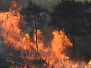 İki Kore'yi Birleştiren Yangın