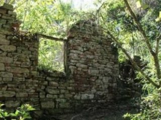 Arjantin’de Nazi Sığınakları Bulundu