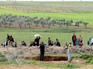 Faroe Adaları'ndan Suriyeli Mülteci Hamlesi