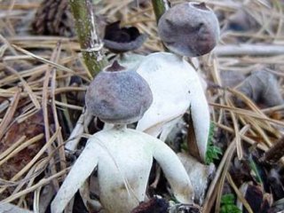 Ne Olduğunu Öğrenince Şaşıracaksınız!