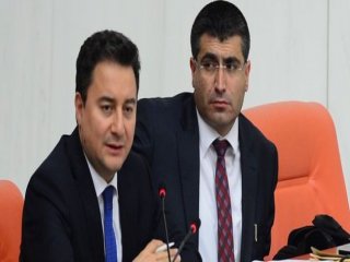 Babacan: 2015'te Büyüme Yüksek Olacak