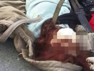 Canlı bombanın kimliği hakkında flaş iddia