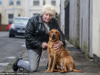 Bu Köpek Hayatını Kurtardı