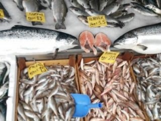 Balık Fiyatları Tavan Yaptı