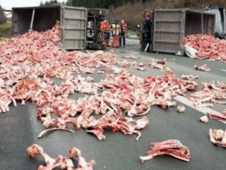 Otoyol Mezbahaya Döndü