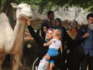 'Yemen'de 48 Türk Vatandaşı Kaldı'